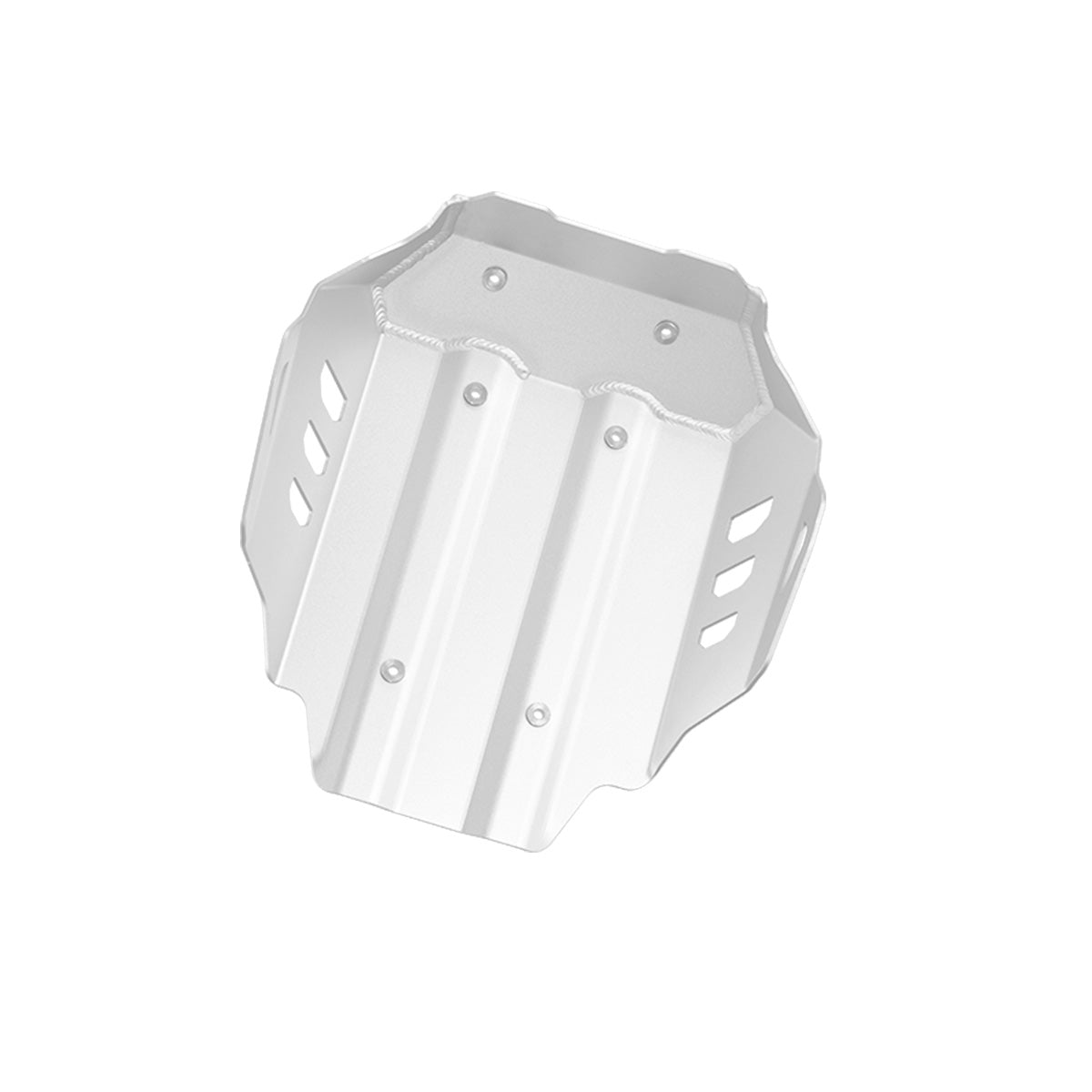 Cubre cárter S-Wolf para BMW R1300GS / R1300GS Adventure — imagen 2