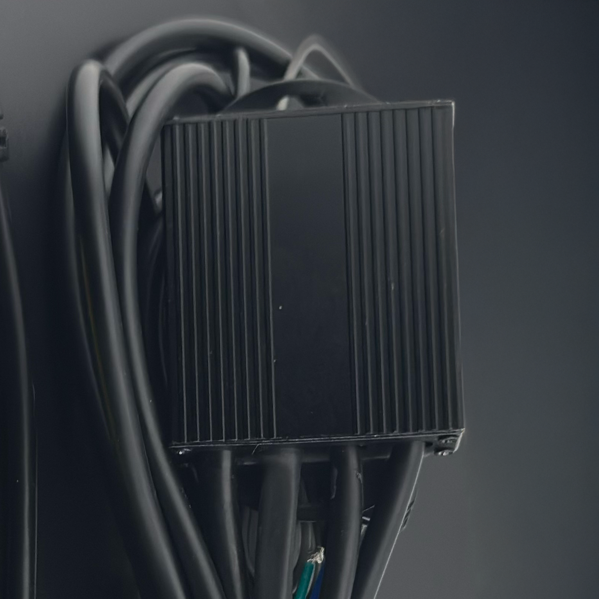 Arnés de instalación para exploradoras Bi-Color